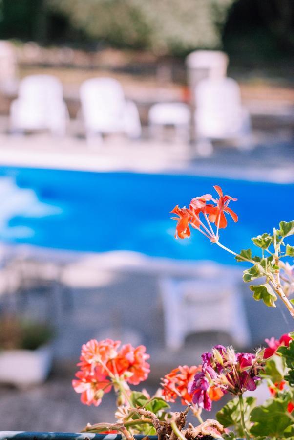 Guest House Sosi ウマグ エクステリア 写真